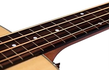 Amazon.com: Guild Guitars B-240E Fretless Acoustic Basses
