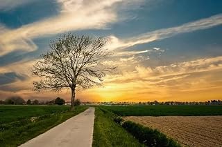 8000 Piece Jigsaw Puzzles for Adults,Thick and Durable Beautiful Country Road Puzzles, Fit Together Perfectly Funny Family Puzzles for Adults and Kids-244x112cm