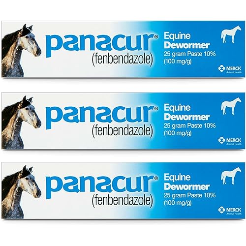 Panacur (3 Pack) Dewormer Horse Paste 10%, 100mg Each