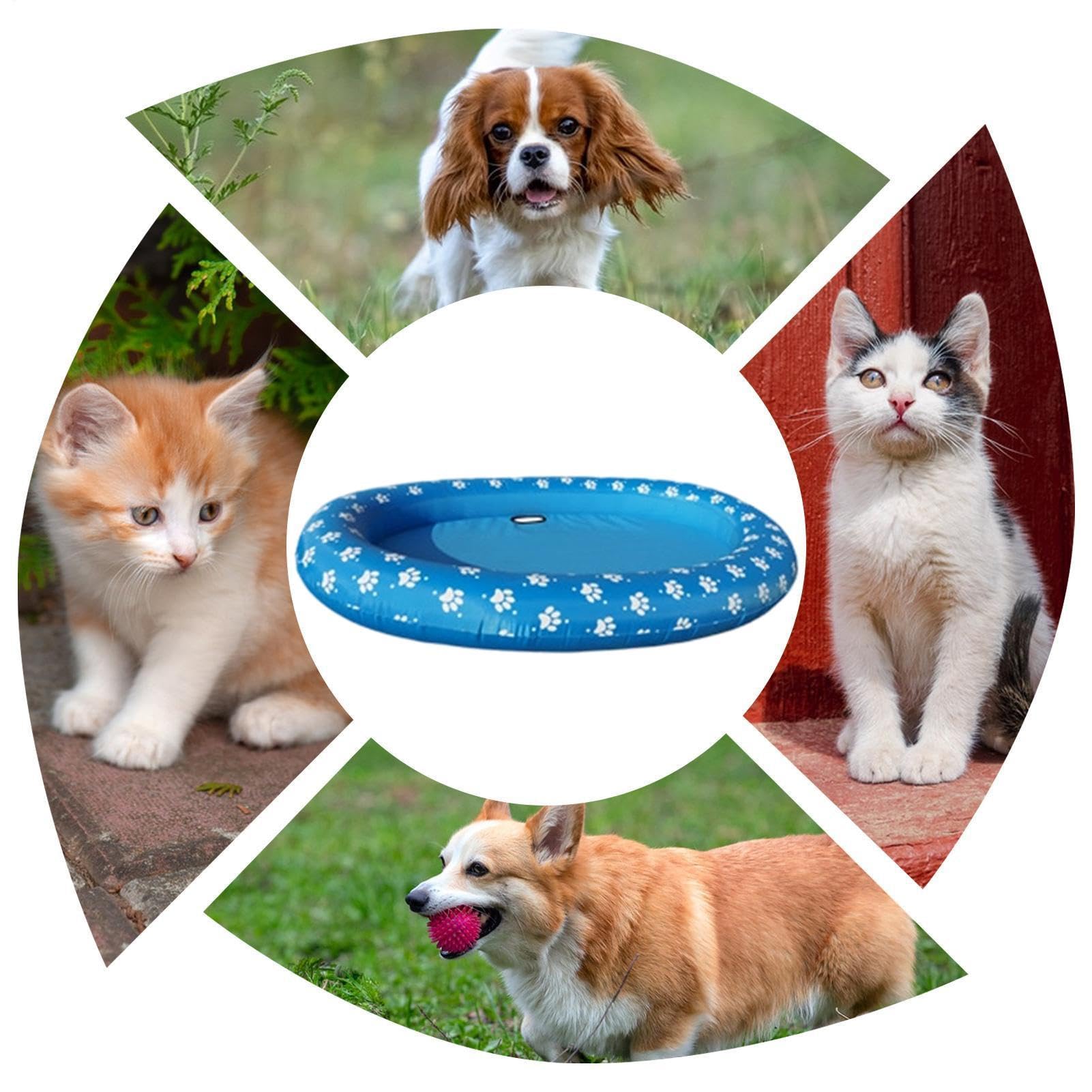 Galleggiante da Piscina per Cani Zattera Gonfiabile Sicura Portatile | Zattera Cani Pet Per Esterno All'Aperto Interno Acqua Lago Fiume Spiaggia Mare Stagno Giardino Pet