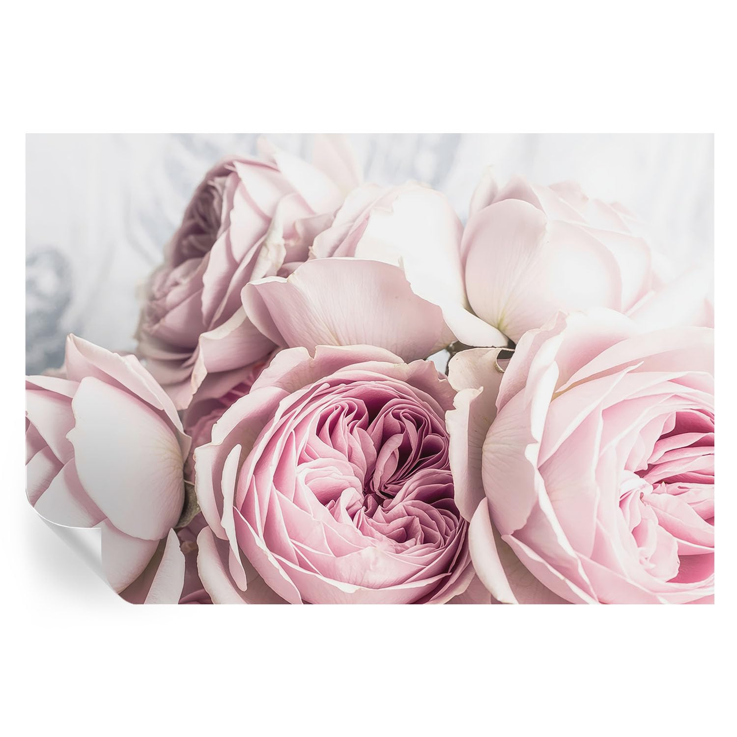 Murales de rosas rosadas 152x104 cm para decoración de pared en el salón