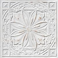 Algopix Similar Product 16 - From Plain To Beautiful In Hours