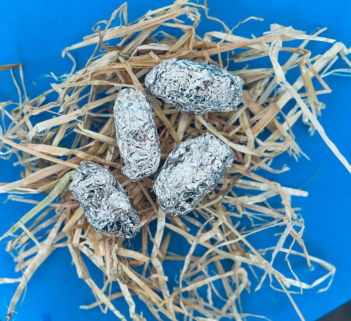 25 Medium Owl Pellet Pack (1.5–2 Inch) – STEM Approved, Aluminum Foil Wrapped & Sterilized, Includes 1 Bone Matching Chart