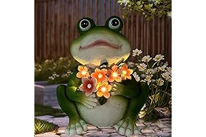 Enchanting Solar Frog Garden Decor