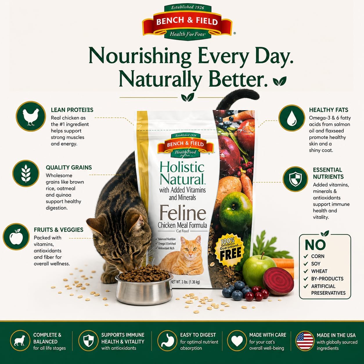 Bench & Field Holistic Premium Dry Cat Food, Chicken Meal & Brown Rice Recipe, Made Without Corn, Wheat, or Soy, All Life Stages, 3 lb Bag (Pack of 1)