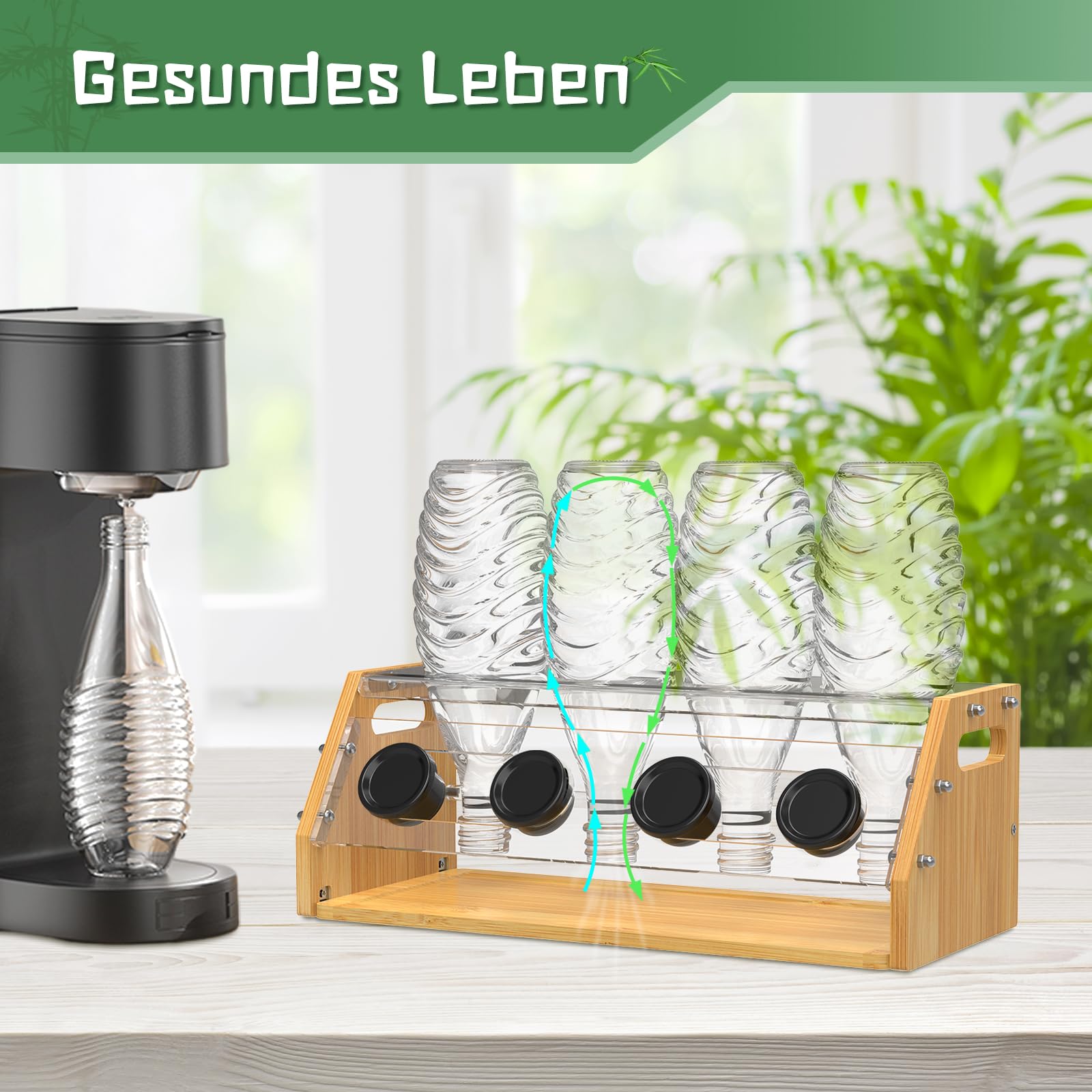 bananenpflanze online bestellen Bananenpflanze XL | 70 cm | Online kaufen main image 0