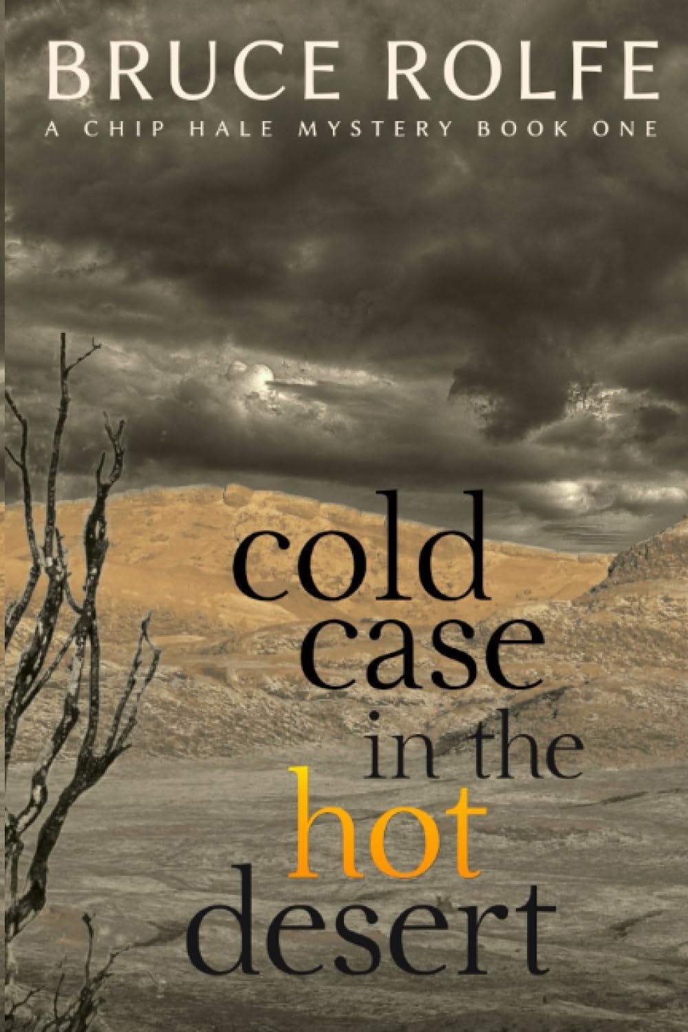 Cold Case in the Hot Desert (Chip Hale Mysteries)