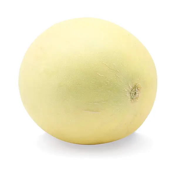 Orange Flesh Honeydew 1