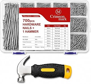 Nails Assortment Kit 700-Piece with Hammer - Galvanized Steel Hanging Nails | 6 Sizes Organizer Box for Frames, Pictures & DIY Projects Durable Rust-Resistant Hardware Set (Silver)