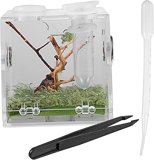 iplusmile Caixa De Criação De Aranha Saltadora Caixa Transparente Aranha De Brinquedo Grandes Umidificadores Caixa De Alimentação De Tarântula Pequenas Casas De Animais Lagartixa Habitat