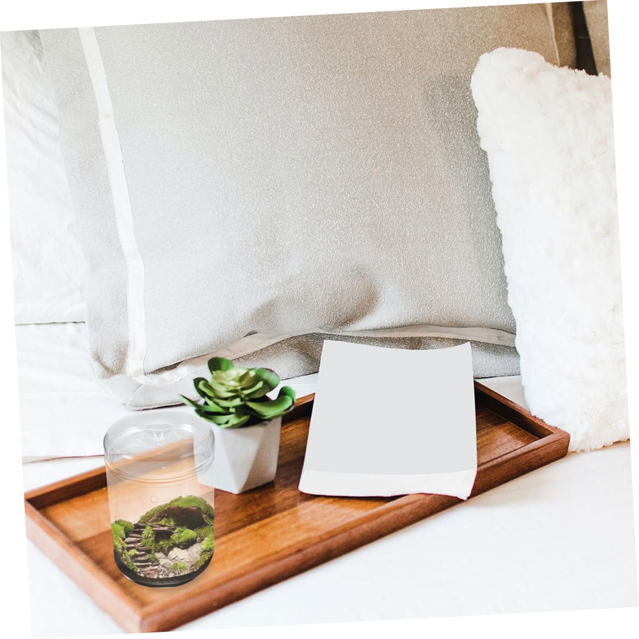 DECHOUS Terrario in Vetro per Ecosistema di Muschio, Vaso Decorativo Leggero e Resistente, per Scrivania e Soggiorno, per Piante e Fiori