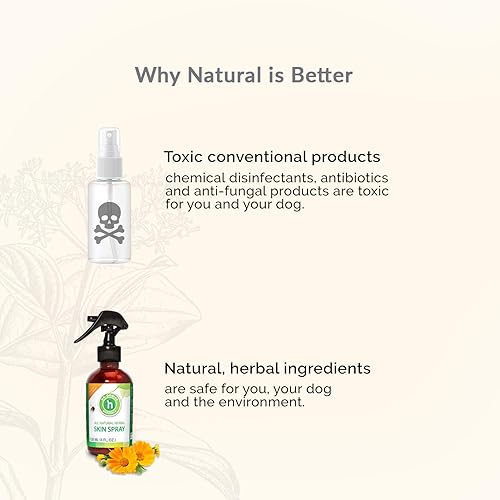 Miniatura 4 de Spray para la piel cuidado herbario de la piel y heridas, fórmula natural para la piel para apoyar la curación saludable de heridas y la piel.