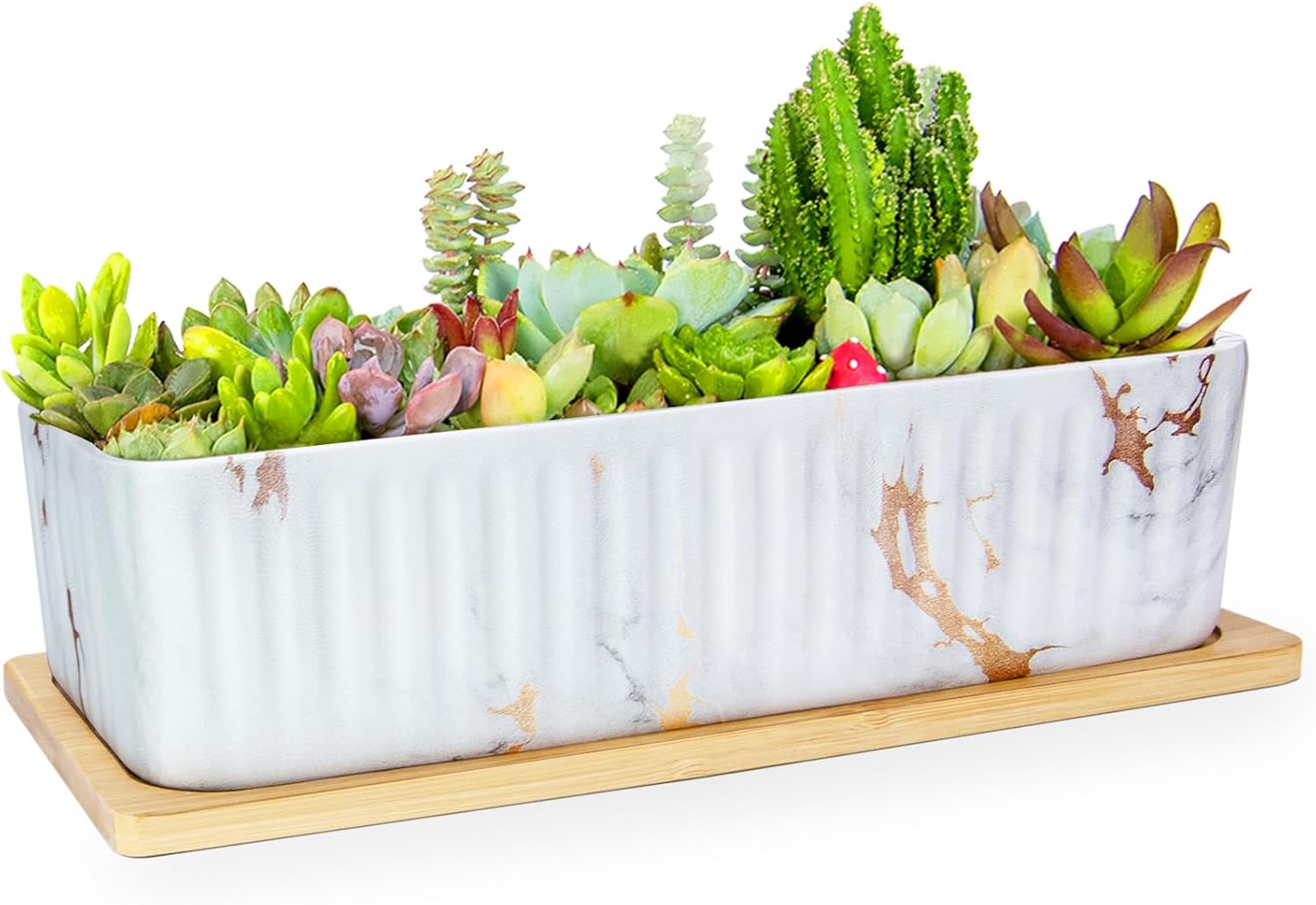 Succulent Pots - 12'' Long Rectangular Planter for Indoor Plants, Shallow Marble Windowsill Planter for Cactus & Bonsai, Ceramic Flower Plant Pots with Drainage Tray Decorative Window Box Planter