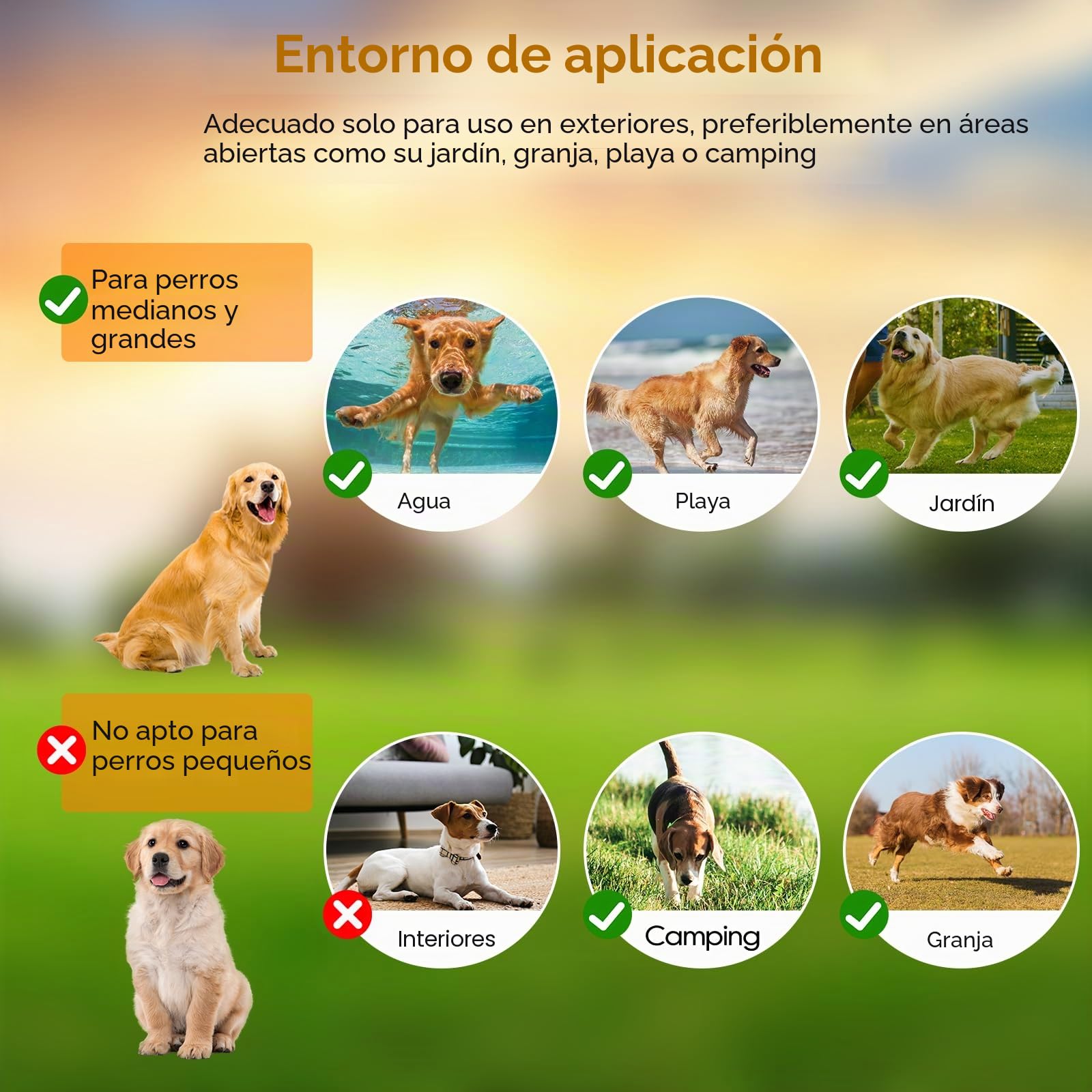 Valla inalámbrica a Prueba de Fugas, GPS para Perros al Aire Libre, Mejorado para Perros con Nuevo Chip GPS Inteligente, IPX7 Impermeable Collar GPS para Perros, Radio de hasta 1000m