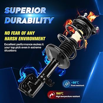 Amazon.com: Front Strut Shock Assembly w/Coil Spring for