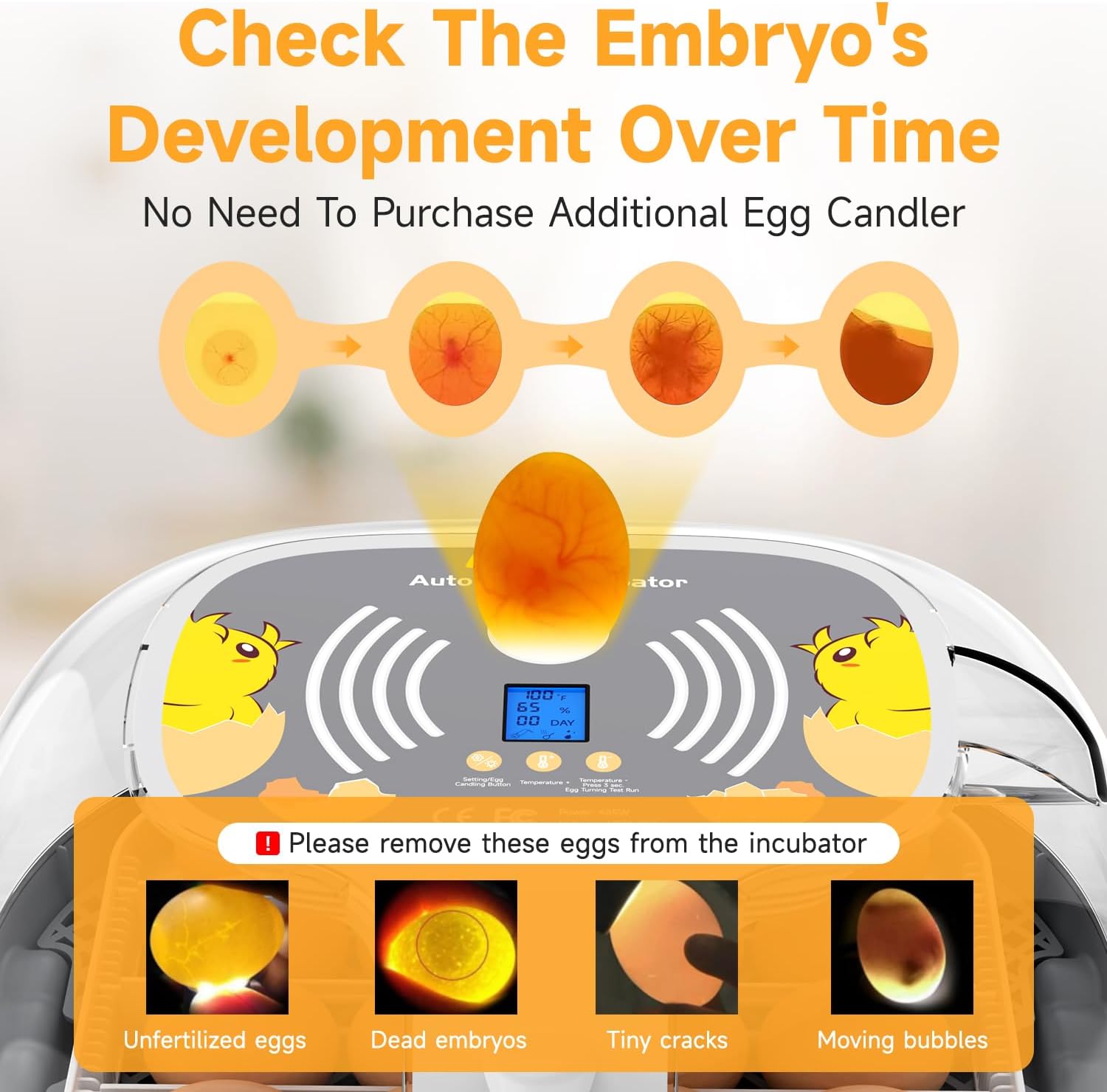 Egg candling guide showing how to identify unfertilized eggs, dead embryos, eggs with tiny cracks, and eggs with moving bubbles.