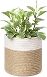 Dahey Small Cotton Rope Plant Basket Woven Plant Coiled Basket for Up to 7" Planter, Decorative Flower Pot Cover Closet Storage Bin Table Desk Organizer for Home Decor, Beige