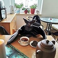 Vista 5 de Juguetes de Peluche de Murciélago Grande de 12", Animal de Peluche Murciélago Gótico Espeluznante Murciélagos Realistas Muñeco de Peluche Murciélago