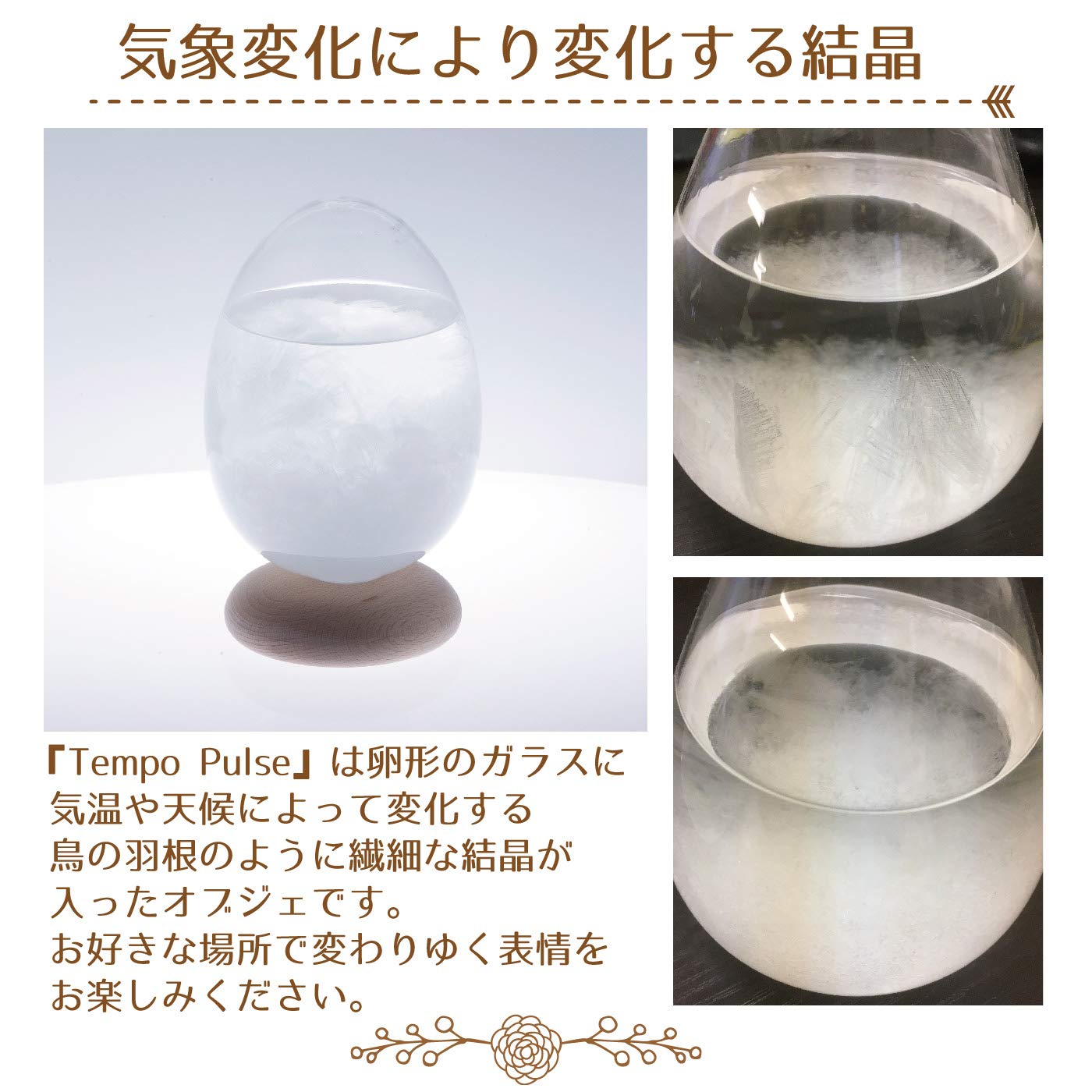 Amazon.co.jp: ストームグラス テンポドロップ Perrocaliente 正規品 