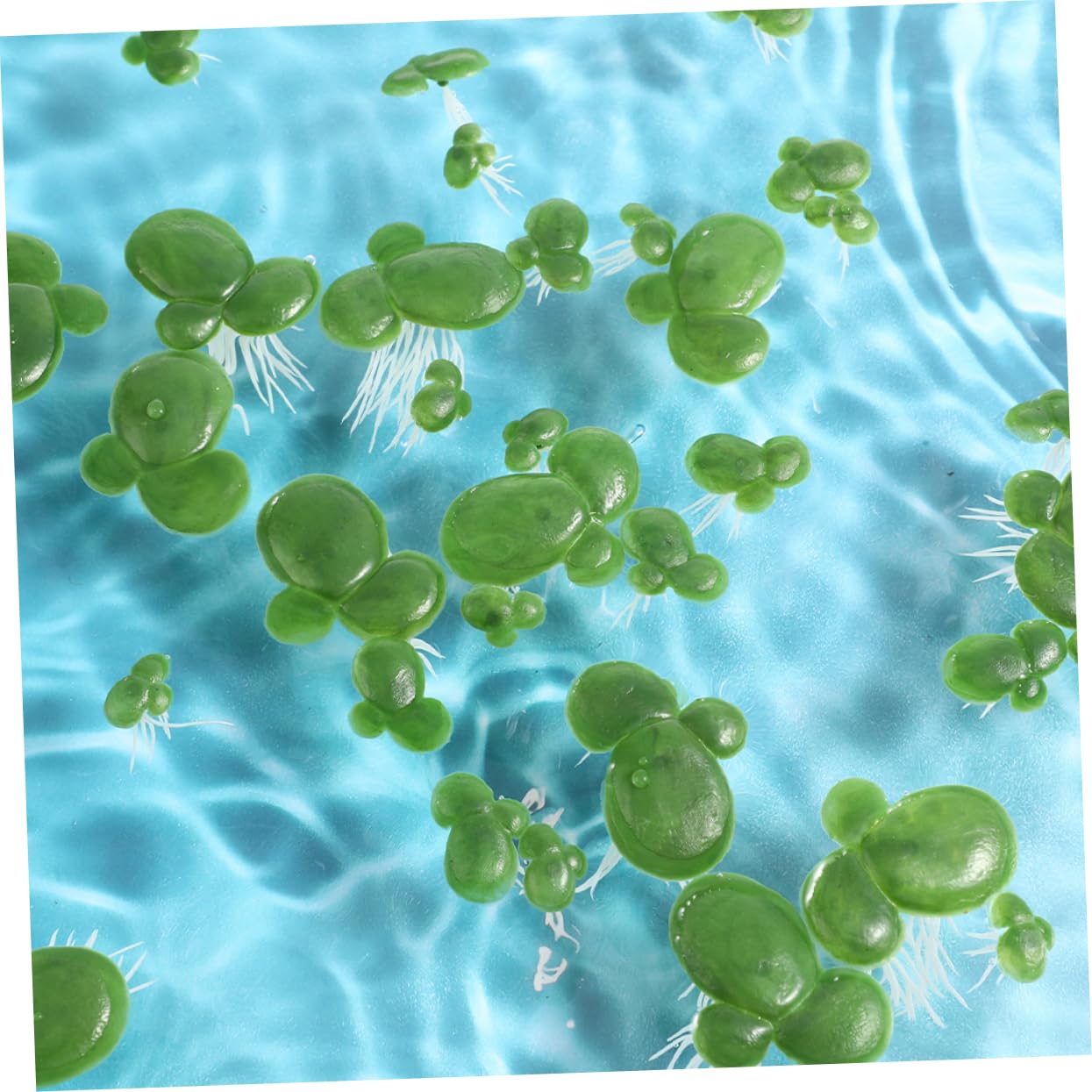 Zerodeko Lot De 5 Plantes Artificielles Pour Aquarium Décoration Flottante Naturelle Mini Lentilles Deau Artificielles Décoration Aquatique 90 Pièces X 5
