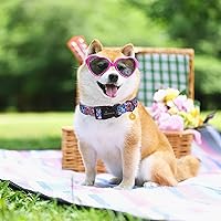 Vista 66 de Aring Pet Collar de algodón, ligero y ajustable, con hebilla de liberación rápida para perros pequeños, medianos y grandes, para cachorros, XS