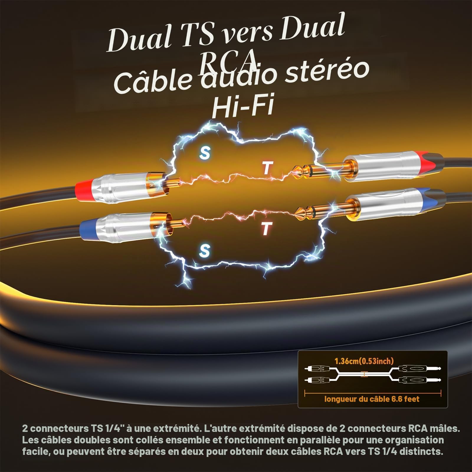 Tisino RCA vers Jack 6,35mm Câble, 2 x RCA mâle vers 2 x jack mono Audio Connecteur Adaptateur, 1m