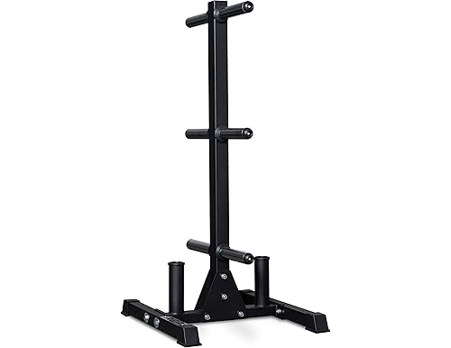 Best Rep Holders: An Elite Guide to Top-Notch Weight Storage Racks