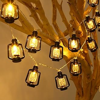 Diwali Decoration Lights, Necomi 40 LED 6M Waterproof Garden Patio Kerosene Light, 8 Flashing Modes, Diwali String Light for Wedding Party New Year Decoration