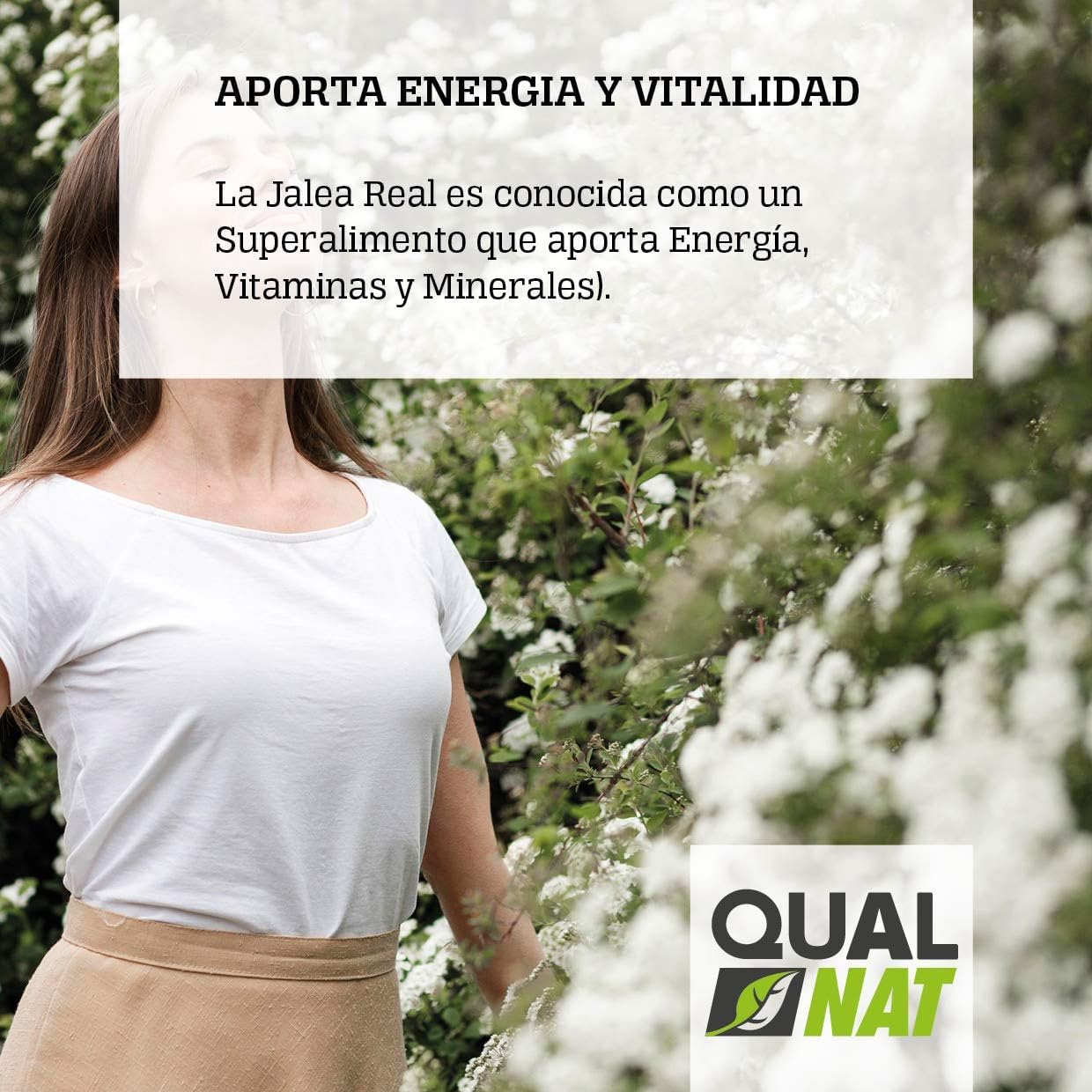 Jalea Real 100% Natural - Suplemento con Ginseng y Vitamina C | Jalea Real 40 Ampollas - Ayuda a Reforzar el Organismo y el Sistema Inmunitario - con Vitamina B6 y B12 - QUALNAT