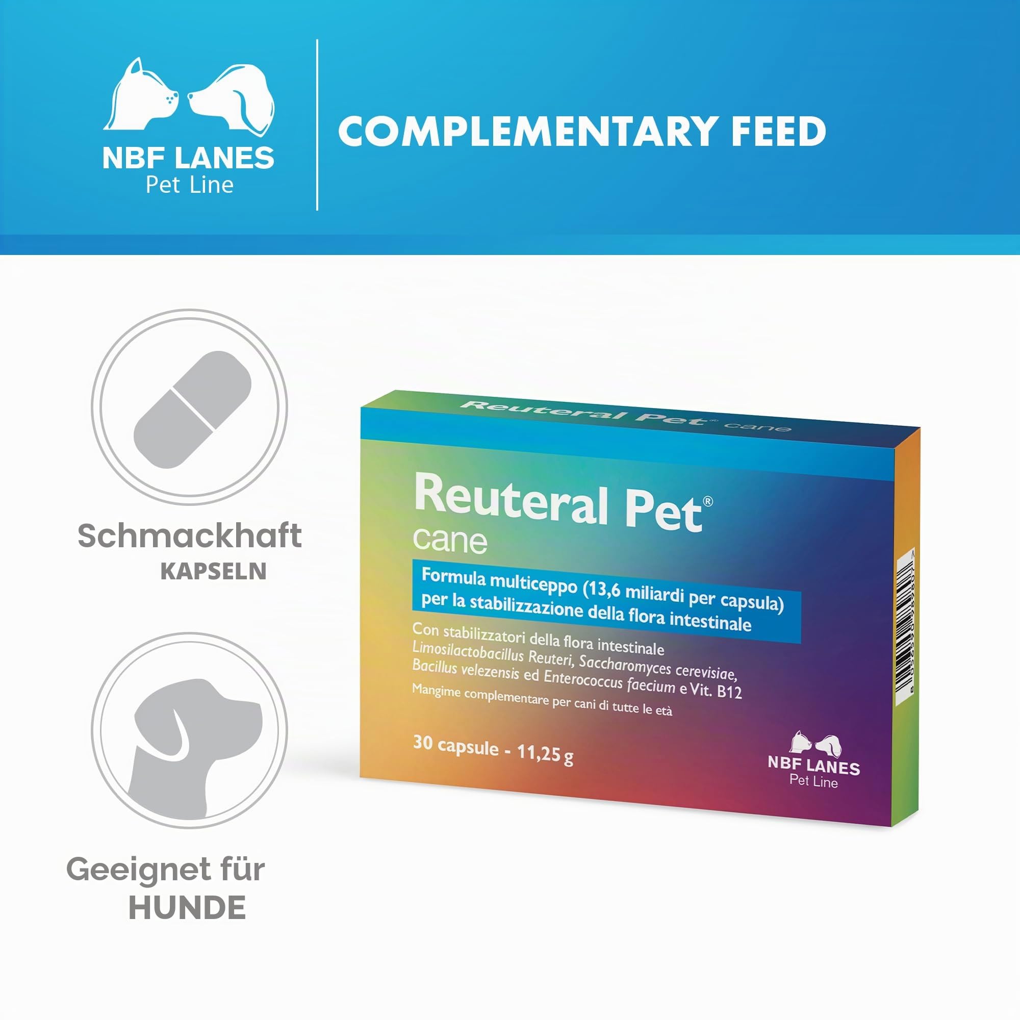 NBF Lanes | Reuteral Pet Hund, 30 Kapseln, Probiotikum auf Basis von lebenden Milchsäureferenten zur Stabilisierung der Darmflora bei Hunden