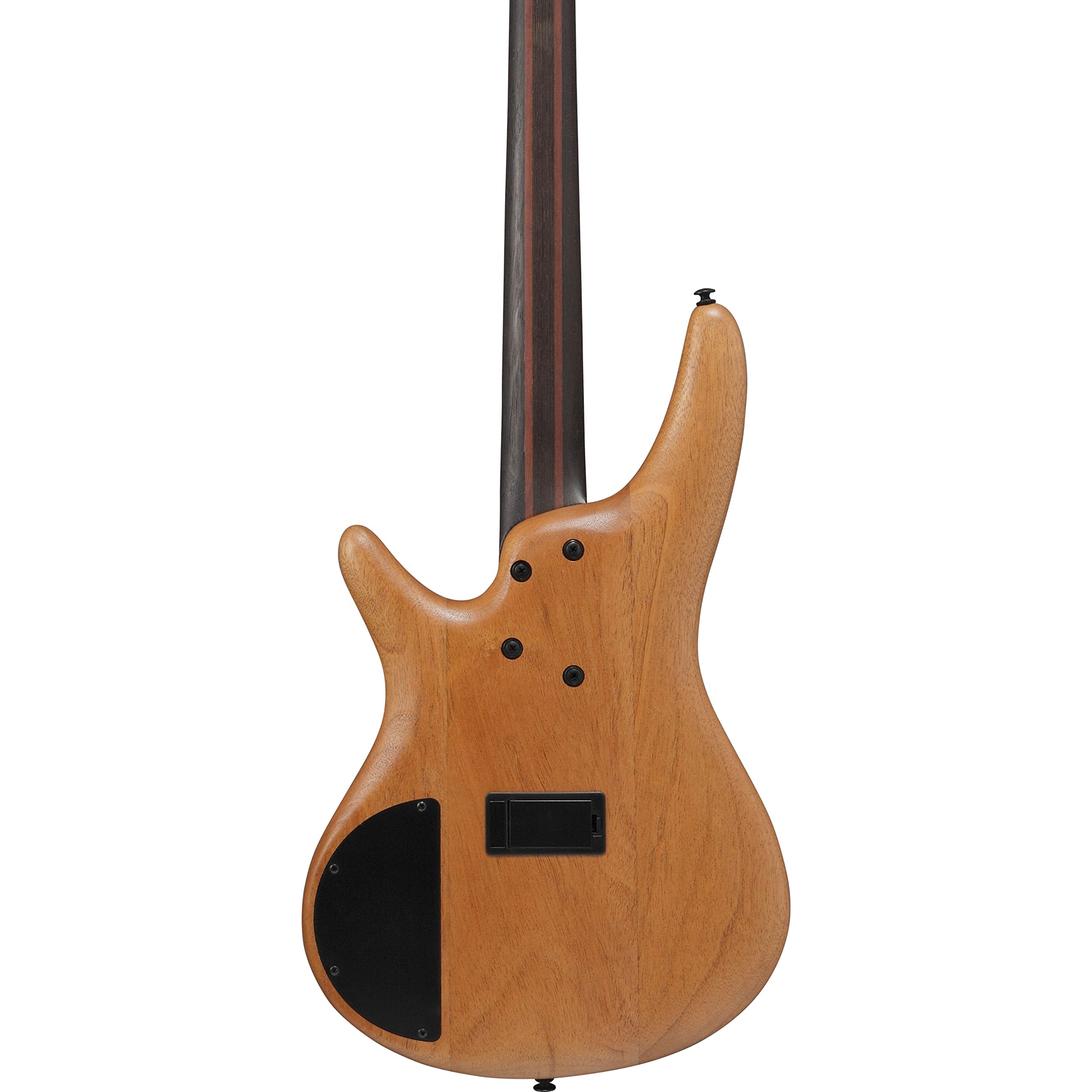 Amazon.com: Ibanez Premium SR1350B 4-string Bass Guitar - Dual