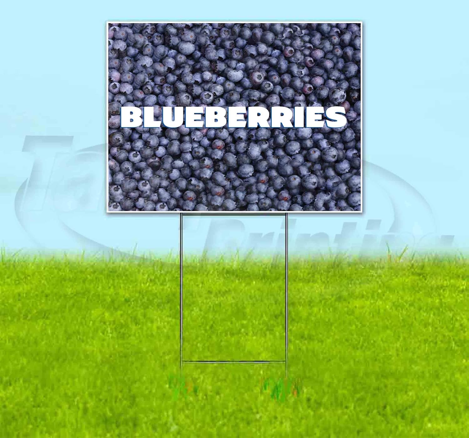 Blueberries V3 (18" X 24") Yard Sign, Quantity Discounts, Multi-Packs, Includes Metal Step Stake, Bandit Sign