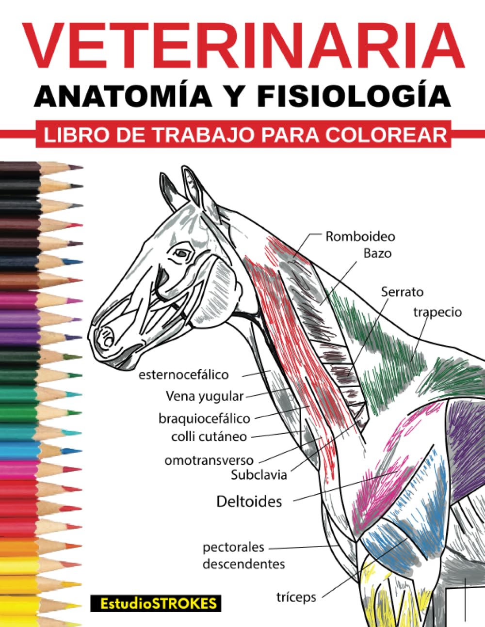 Veterinaria Ibro De Trabajo Para Colorear Anatomía Y Fisiología Libro De Trabajo Para Colorear: Guía de Estudio de Autoevaluación, Preparación de ... Veterinaria y Enfermería (Spanish Edition)