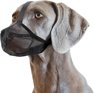Soft Dog Muzzle, Adjustable Muzzle Guard for Dogs Drinkable Mesh Muzzle for Small Dogs Medium Sized Dog Large Dog, Dog Muzzle to Stop Chewing Biting Barking (Black, L)