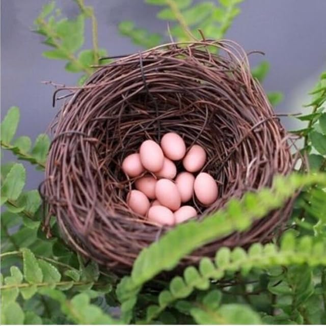 Foto 3 de 6 de Nido de pájaros hecho a mano con forma de vid, hogar, naturaleza, alféizar para decoración navideña, 30 cm