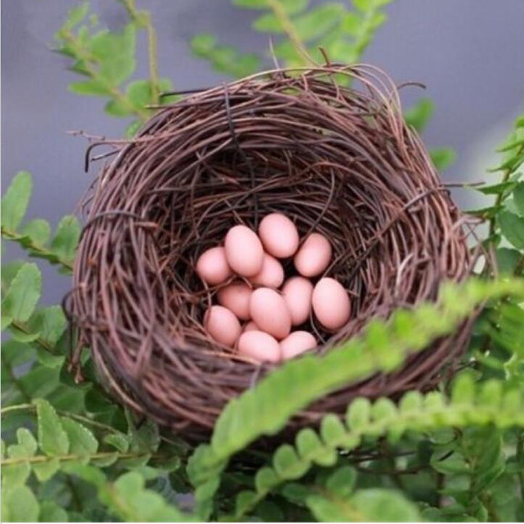 Sharplace Nid d' Cage Animaux Nid de Rotin Décoration Mariage, 35cm