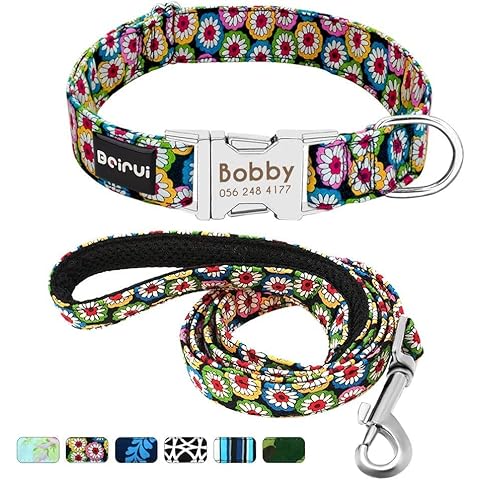 Beirui Collar Perro Personalizado con Hebilla de liberación rápida Cover