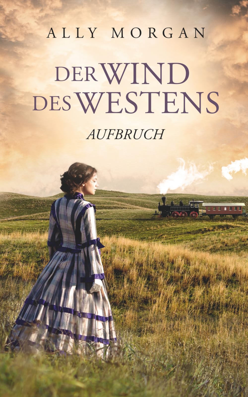 Der Wind des Westens - Teil 1: Aufbruch - Eine historische Western-Saga