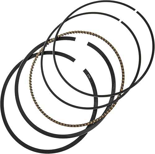 Miniatura 6 de NICHE - Kit de pistón para Honda Rancher 350 TRX350FM TRX350FE 13101-HN5-670 13103-HN5-670