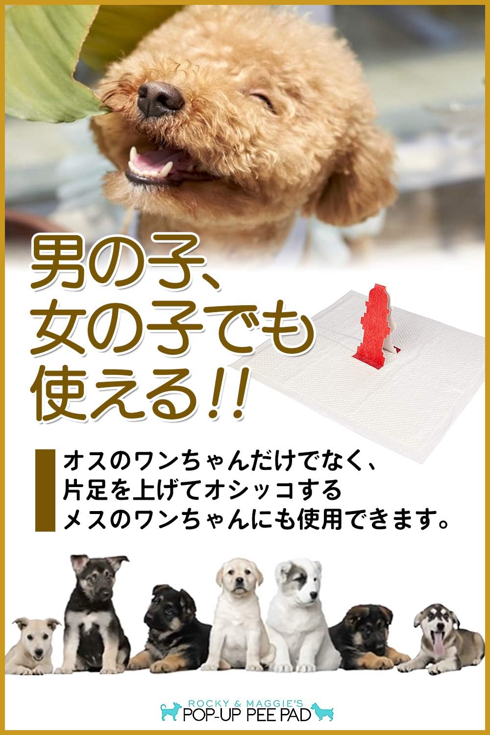 pop up pee pad amazon