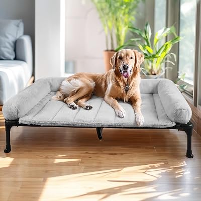 Veehoo XL Elevated Dog Bed with Removable Plush Pillow Cushion