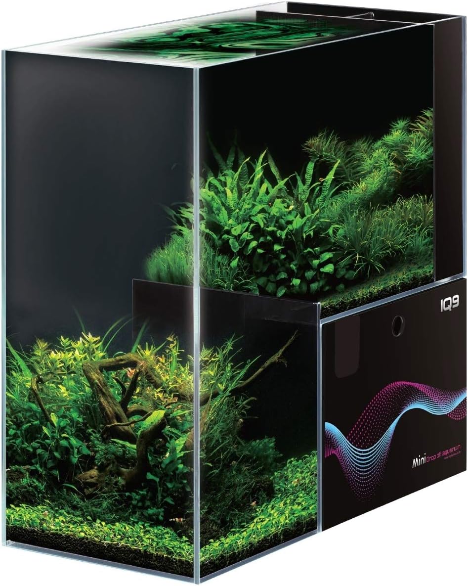 dymax aquarium
