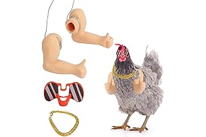 Extguds Chicken Arms for Chickens to Wear
