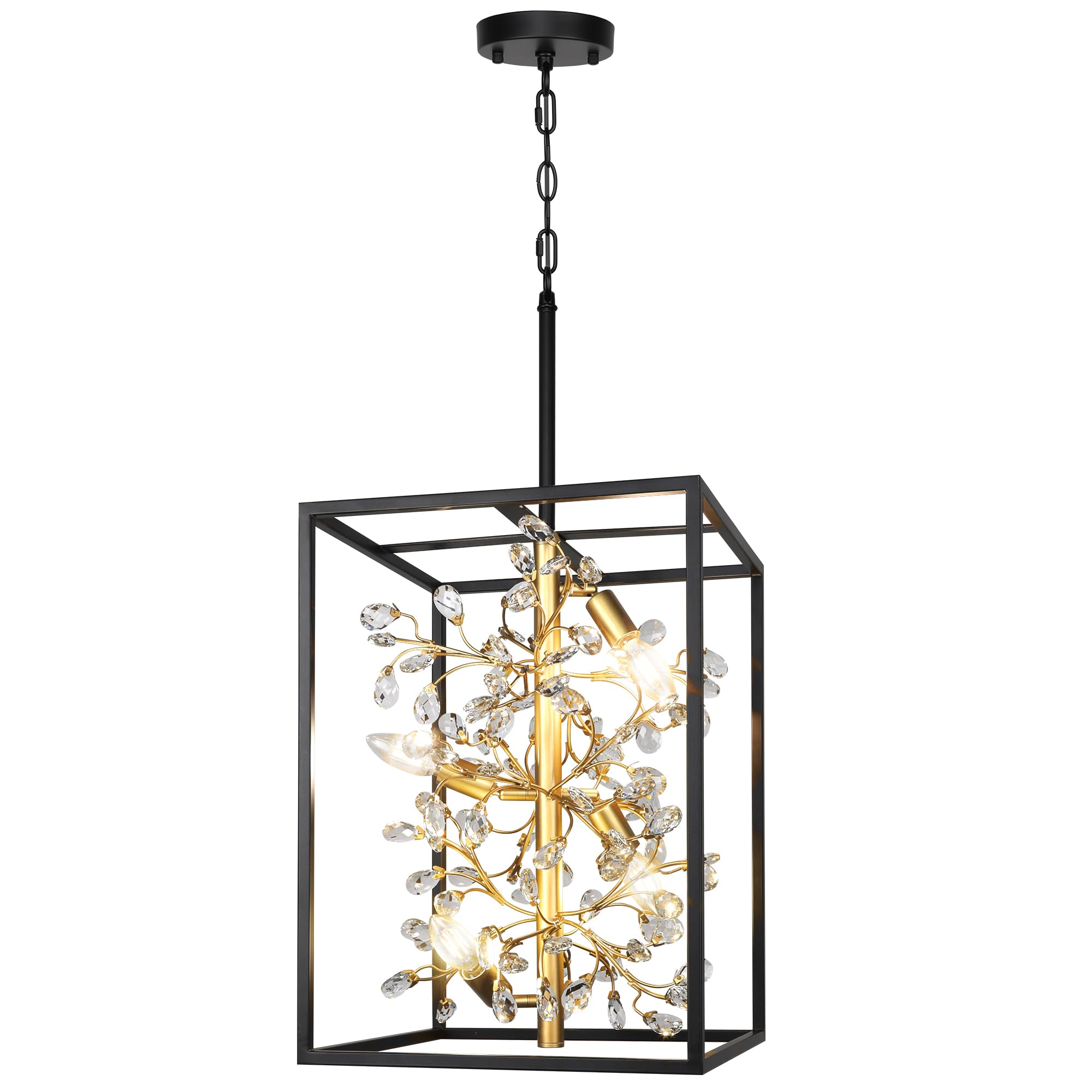 Photo 1 of CNRATYE 4-Light Lantern Chandelier, Black and Gold