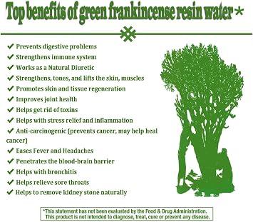 Royal Green Frankincense Hojari from Oman Boswellia Sacra Pure Incense Chruch Incense Olibanum luban (1 oz)