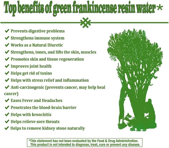 Royal Green Frankincense Hojari from Oman Boswellia Sacra Pure Incense Chruch Incense Olibanum luban (1 oz)