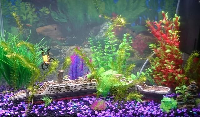 Foto 5 de 6 de SLOME - Adornos para Acuario con diseño de Barco de Titanio, Material de Resina, decoración para Acuario…