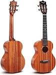 Enya EUC-MAD Concert Ukulele Solid Gloss Mahogany Original Color 23 Inch with High-end 15mm Padded Gig Bag