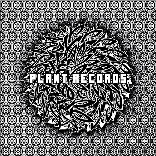 PLANT RECORDS V.A. BLACK