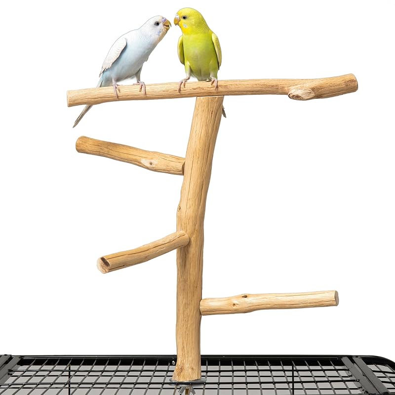 Poleiro para Aves com Suporte de Brincadeiras em Madeira Natural Pecirvoli, 31,75 cm